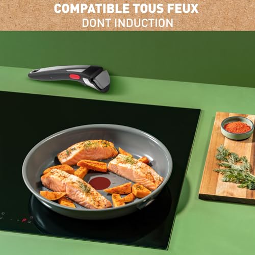 414j5srwcjl.jpg Poêles Tefal Ingenio, induction, cuisine professionnelle
