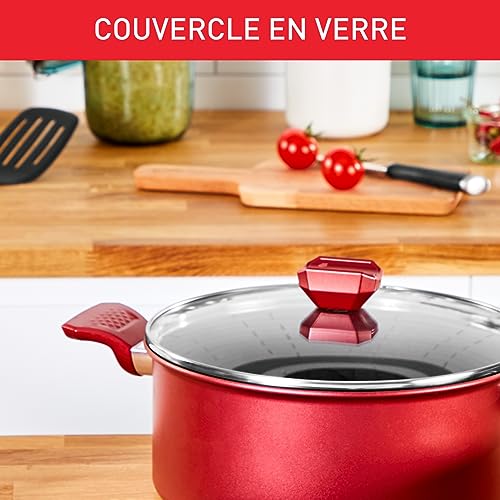 415hiazhhyl.jpg Tefal Faitout 24 cm Induction Couvercle en verre Indicateur de température Repas délicieux et sains Daily Expert C289460