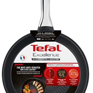 TEFAL EXCELLENCE24 SARTEN À CUI="%CUI="%DRE ET FACILE D'ENTRETENI="%ENTRETENI="%E" POUR LA FAMILLE-Americain