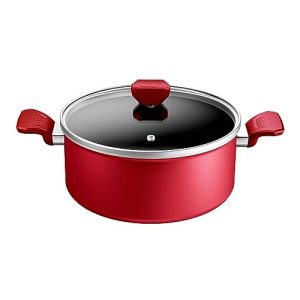 Tefal Faitout 24 cm Induction Couvercle en verre Indicateur de température Repas délicieux et sains Daily Expert C289460