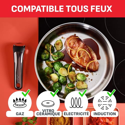 514ol3qe8sl.jpg Tefal Ingenio Batterie de cuisine 20 pièces, Induction, Poêles et casseroles, Siegeurs français, Cuisine professionnelle