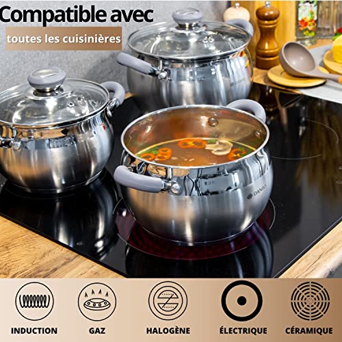 51743juip l.jpg Daniks Modern Batterie de Cuisine INOX avec Couvercles en Verre - 6 Pièces, Tous Feux Dont Induction - Poignées en Silic