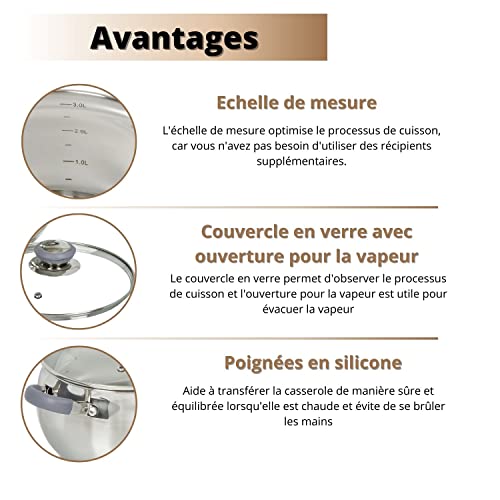518ium3cz4l.jpg Daniks Modern Batterie de Cuisine INOX avec Couvercles en Verre - 6 Pièces, Tous Feux Dont Induction - Poignées en Silic