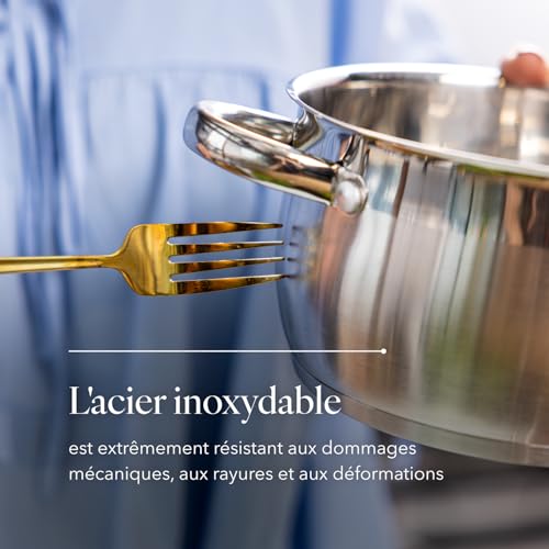 51pq1s0vvyl.jpg FLORINA Marmite Inox 6 l OLIVER I Diamètre de 24 cm I Convient à l'Induction et tous Les Feux I Casserole Acier Inoxydab