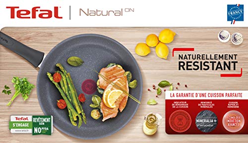 51d6gqjsibl.jpg Poêle grill Tefal Induction 26 cm Antiadhésif Minéria Becs verseurs E2444074