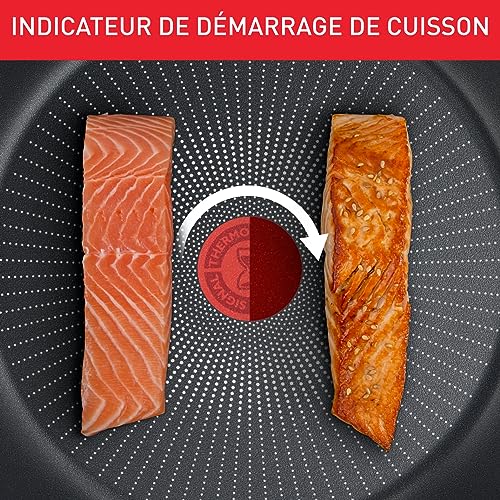 61umuc5pjkl 1.jpg Tefal Faitout 24 cm Induction Couvercle en verre Indicateur de température Repas délicieux et sains Daily Expert C289460